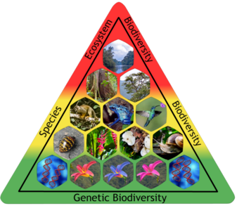 Biodiversity Graphic