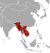 Carte de l'Asie avec une large zone rouge allant du bas du Bhoutan au Vietnam