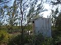 Giant concrete block in the trees of Great Stirrup Cay