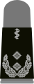 Oberfeldarzt (Army Senior Field Doctor, sweater mounting loop)