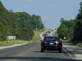 Highway 6 looking south near Wiarton.