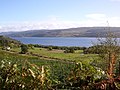 Kilmichael near Minard, Argyll. View of Kilmichael and Loch Fyne,Argyllshire.