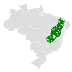 Distribución geográfica del picolezna grande.