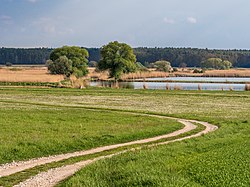 68. Platz: Ermell mit Vogelfreistätte Weihergebiet bei Mohrhof im Landkreis Erlangen-Höchstadt