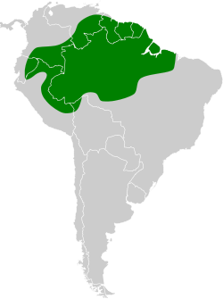 Distribución geográfica del hormiguerito alilargo.