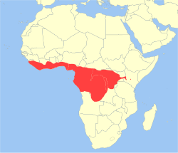 Distribución de P. potto