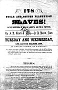Vente de 178 esclaves de plantations agricoles, de la succession de M. Lambech, Nouvelle-Orléans (États-Unis), 1855.