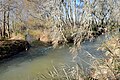 Detalle de Las Ajuntas en Torrebaja (Valencia), donde el río Ebrón rinde sus aguas al Turia (2021).