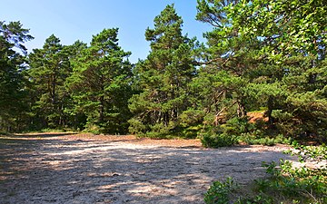 Den södra delen av Skarprunmaren utgörs av Vånsholmens naturreservat.