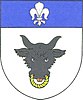 Coat of arms of Věchnov