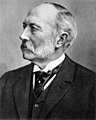 Carl Siemens (1829–1906), since 1895 Carl von Siemens, brother of Werner