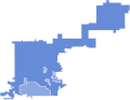 2010 CO-01 election