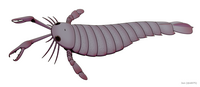 Pterygotus was a giant eurypterid that had a nearly cosmopolitan distribution (reconstruction shown here is Devonian species P. anglicus)