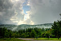 Mist on Mt. Tuscarora in Allegany State Park