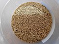Amaranth grain from Nepal