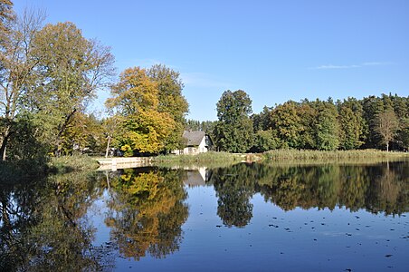 Étang à Běleč.