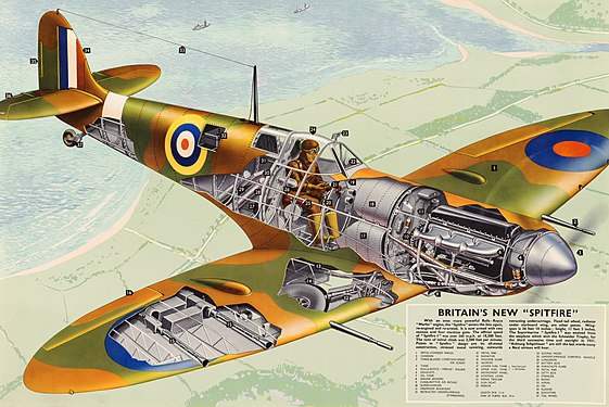 A cutaway depiction of a Supermarine Spitfire fighter aircraft (nominated by MER-C)