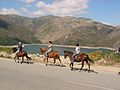 Passeio de Cavalo - Vilarinho das Furnas