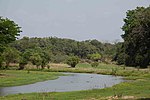 River, grasses, and shrubs