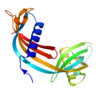 Image of Cystatin C