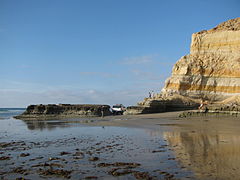 Torrey Pines State Beach