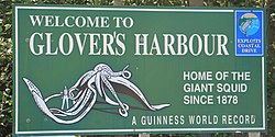 Welcome sign referencing the giant squid specimen of 1878 and its recognition by Guinness World Records