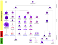 Icelandic vector (.svg) format with labels