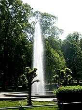 Tall, geyser erupts.