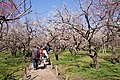 2019年3月10日 (日) 14:02版本的缩略图