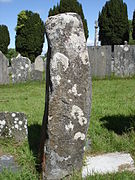 Photo d'une pierre dressée de forme vaguement rectangulaire, aux angles arrondis par l'érosion, et couverte de lichen