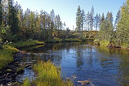 Olosjokis nedre lopp, ett par kilometer ovanför utflödet i Lainioälven.