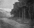 Pines at Knocke by Charles Warren Eaton