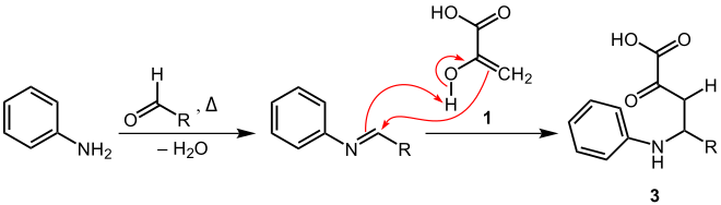 Reaktionsmechanismus-Vorschlag (2) der Doebner-Reaktion