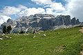 Il Gruppo del Sella dalla Val Gardena.