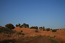 תל פאחר, מבט מכיוון מערב