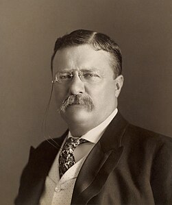 Theodore Roosevelt, by the Pach Brothers (restored by Adam Cuerden)