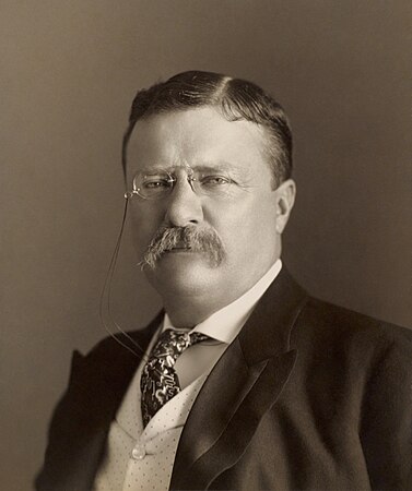 14. Theodore Roosevelt