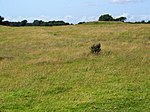 Round barrow on Beacon Hill