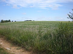 Les hauteurs du plateau picard (entre 100 et 130 mètres d'altitude).