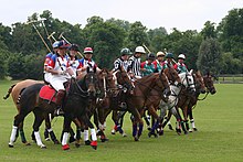 Charles and others on horseback during a game of polo