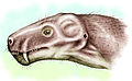 Aloposaurus