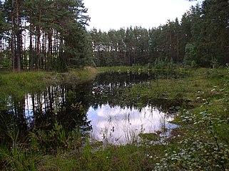 Lago Tapily, Bielorrusia.