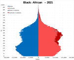 Black/Black British: African