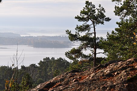 A Floresta de Kolmården separa a Södermanland da Östergötland