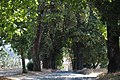 Quinta de Vilar de Cima