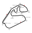 Interlagos