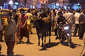 Stray cow on a busy street in Varanasi