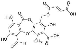 Strukturformel von Fumarprotocetrarsäure