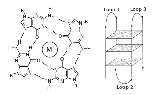 A G-quadruplex