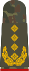 General (field suit)